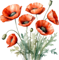 AI generated Watercolor painting of poppy flowers. png