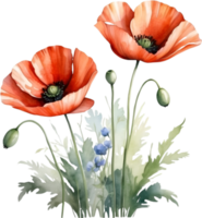 AI generated Watercolor painting of poppy flowers. png