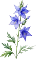 AI generated Watercolor painting of a larkspur flower. png