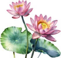 AI generated Watercolor painting of a water lily flower. png