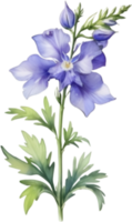 ai généré aquarelle La peinture de une larkspur fleur. png