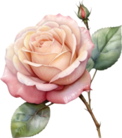AI generated Watercolor painting of a Rose. png