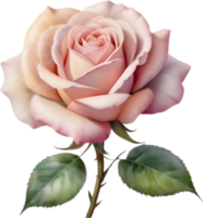 AI generated Watercolor painting of a Rose. png