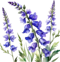 AI generated Watercolor painting of a larkspur flower. png