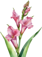 AI generated Watercolor painting of a gladiolus flower. png