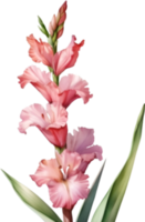 AI generated Watercolor painting of a gladiolus flower. png