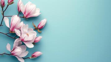 AI generated Spring Magnolia Flowers on Pastel Background photo