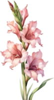 AI generated Watercolor painting of a gladiolus flower. png