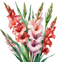 ai genererad vattenfärg målning av en gladiolus blomma. png