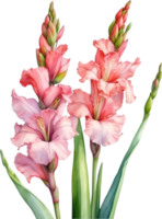 AI generated Watercolor painting of a gladiolus flower. png