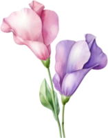 AI generated Watercolor painting of a Sweet Pea flower. png