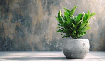 AI generated a pot of green plants against a concrete wall photo