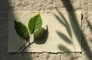 AI generated shadow form on a leaf leaf plant natural white paper on linen photo