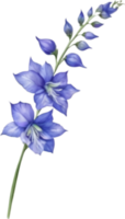 AI generated Watercolor painting of a larkspur flower. png