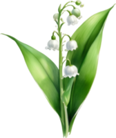 AI generated Watercolor painting of a lily of the valley flower. png