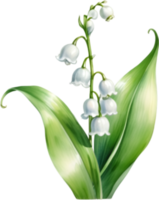 AI generated Watercolor painting of a lily of the valley flower. png