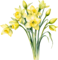 AI generated Watercolor painting of a Daffodil flower. png