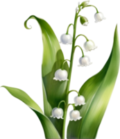 AI generated Watercolor painting of a lily of the valley flower. png