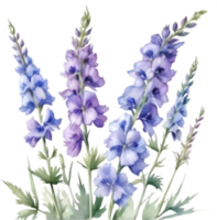 AI generated Watercolor painting of a larkspur flower. png