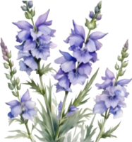 ai généré aquarelle La peinture de une larkspur fleur. png