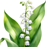 AI generated Watercolor painting of a lily of the valley flower. png