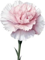 AI generated Watercolor painting of a Carnation flower. png