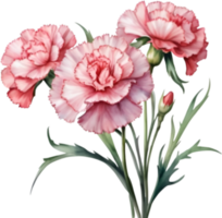 AI generated Watercolor painting of a Carnation flower. png