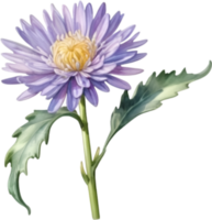 ai generado acuarela pintura de un aster flor. png