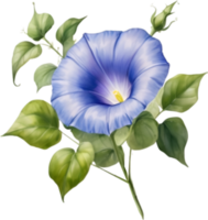 AI generated Watercolor painting of a morning glory flower. png