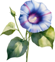 AI generated Watercolor painting of a morning glory flower. png