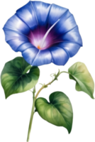 AI generated Watercolor painting of a morning glory flower. png