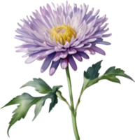 ai generado acuarela pintura de un aster flor. png