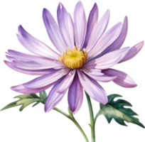 AI generated Watercolor painting of an aster flower. png