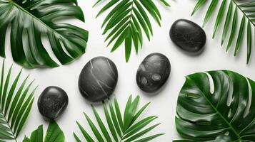 AI generated massage leaves and black stones on a white background photo