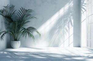 AI generated a background of a white room with a silhouette of a tropical tree photo