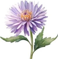 ai generado acuarela pintura de un aster flor. png