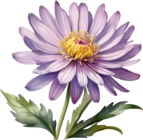 AI generated Watercolor painting of an aster flower. png