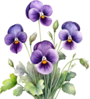 ai generiert Aquarell Gemälde von ein violett Viola Sororie Blume. png