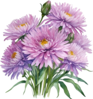 AI generated Watercolor painting of an aster flower. png