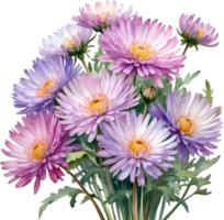 AI generated Watercolor painting of an aster flower. png