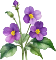 AI generated Watercolor painting of a Primrose flower. png