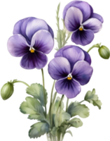 AI generated Watercolor painting of a Violet  Viola Sororia flower. png