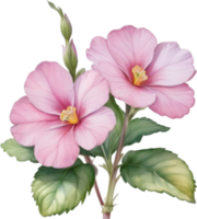 AI generated Watercolor painting of a Primrose flower. png