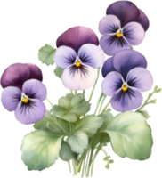 ai généré aquarelle La peinture de une violet alto sororie fleur. png