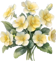 AI generated Watercolor painting of a Primrose flower. png