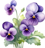 ai generado acuarela pintura de un Violeta viola sororia flor. png