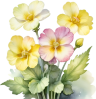 AI generated Watercolor painting of a Primrose flower. png