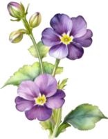 AI generated Watercolor painting of a Primrose flower. png