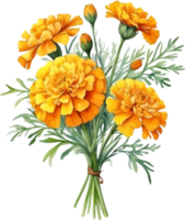 AI generated Watercolor painting of a Marigold flower. png