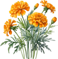 AI generated Watercolor painting of a Marigold flower. png